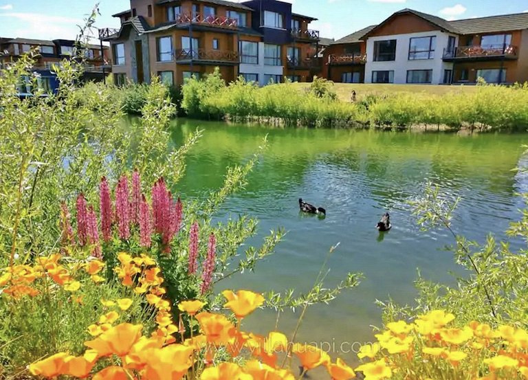 Mascardi Ground-Floor Lake View | Dina Huapi