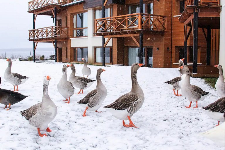 Depto 1204 frente al lago | Dina Huapi Bariloche